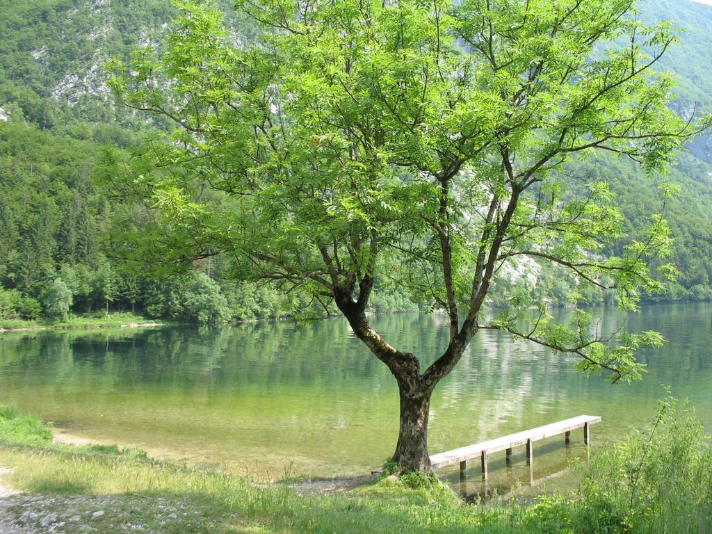 Apartma Jeglic Bohinj Pokój zdjęcie